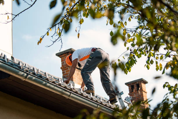 Best Roof Moss and Algae Removal  in High Rolls, NM